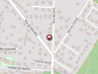 Carte de Michel à Boissy-saint-léger