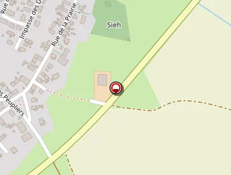 Carte de Pinon Bruno à Bischwiller