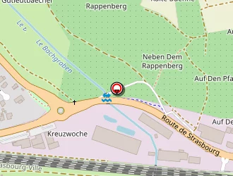 Carte de Faessel Pierre à Hochfelden