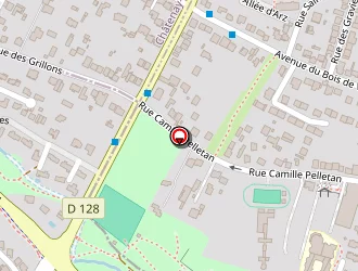 Carte de Ruiz Jean à Antony