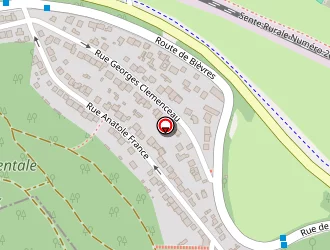 Carte de Becquelin Emmanuel à Saclay