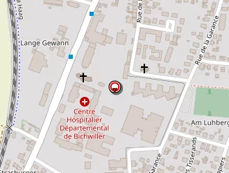 Carte de Veit Gabriel à Bischwiller