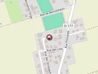 Carte de Ertzscheid Jean Paul à Bernolsheim