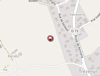 Carte de Ropars Michel à Trézény