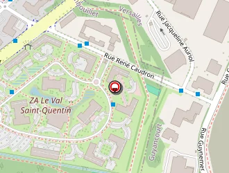 Carte de Vision Automobile à Guyancourt