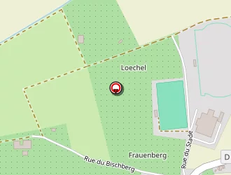 Carte de Trautmann Stéphane à Dettwiller