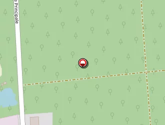 Carte de Disques Et Silice à Gries