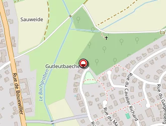 Carte de Baumgarten Christophe à Hochfelden