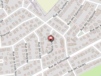 Carte de Ongles Elégance à Drusenheim