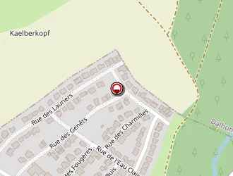 Carte de Dg Pro à Drusenheim