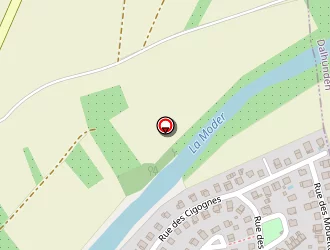 Carte de Steinmetz Patrick à Drusenheim