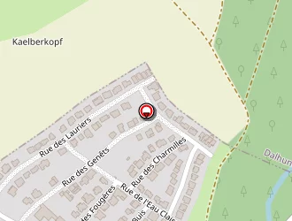 Carte de Jv-finance à Drusenheim