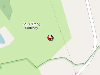 Carte de Thomas Jean-rené à Donnelay