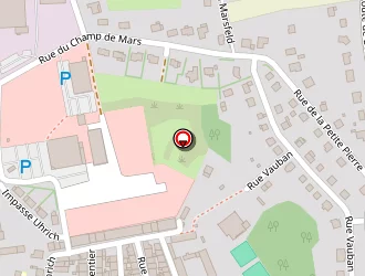 Carte de Scheil Michel à Phalsbourg