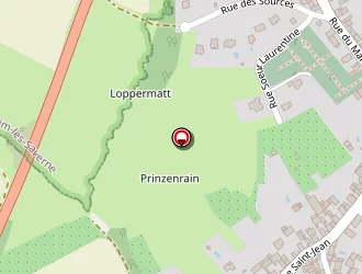 Carte de Wolff Louis à Steinbourg