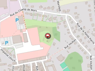 Carte de Schneider Léonie à Phalsbourg