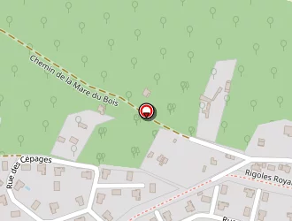 Carte de Tournillon Cyrille à Maurepas