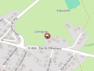 Carte de Lavigne Richard à Sarraltroff