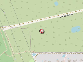 Carte de New Tee à Ozoir-la-ferrière