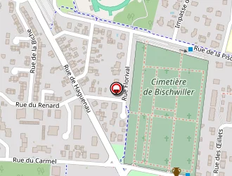 Carte de Gaza Jacky à Bischwiller