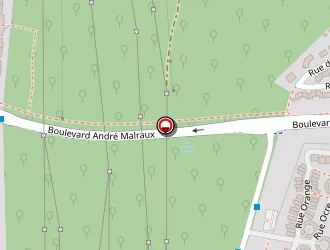 Carte de Coueslan Michel à Élancourt