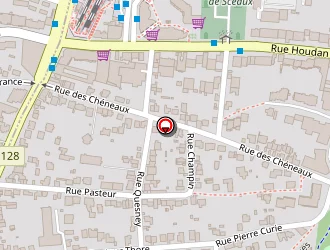 Carte de Taxi Bernard à Sceaux