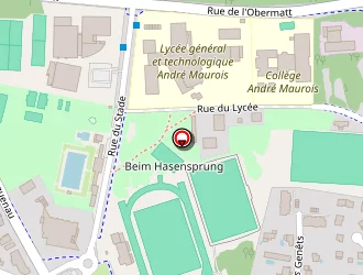 Carte de Barbarus Erol à Bischwiller