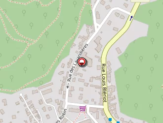 Carte de Leloup Soizic à Buc