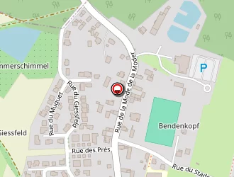 Carte de Joseph Bois à Dalhunden