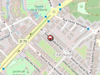 Carte de Pérou Sévère à Plessis-robinson (le)