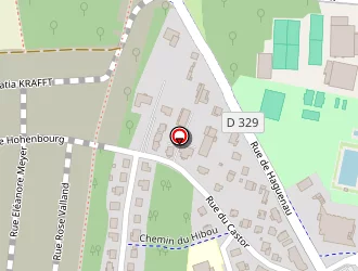 Carte de Inter-pneus à Bischwiller