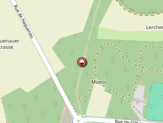 Carte de Securitest Ctas à Bischwiller