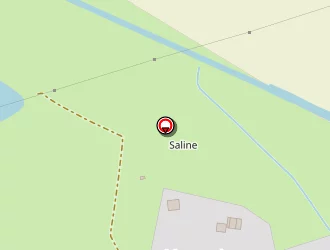 Carte de Mathis Dominique à Moyenvic