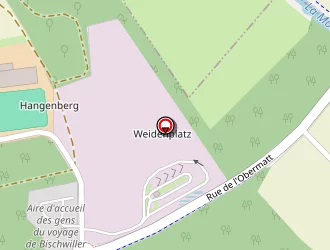 Carte de Plateau D'evolution à Bischwiller