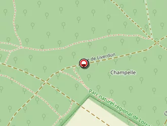 Carte de Anselm Eric à Marbache