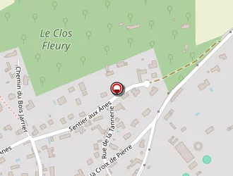 Carte de Ecuries Nessi à Gambais