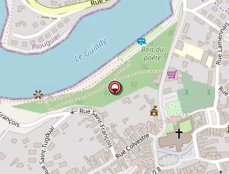 Carte de Dossini Marie à Tréguier