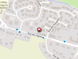 Carte de Lesur Christian à Maulette