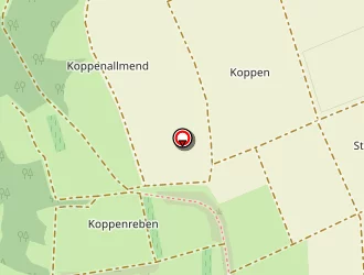 Carte de Etablissements Reinbold à Minversheim