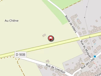 Carte de Pinheiro Rémy à Saizerais