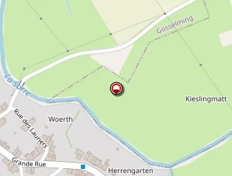 Carte de Gerard Florian à Gosselming