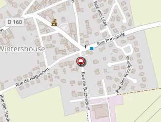 Carte de Deana Alexandre à Wintershouse