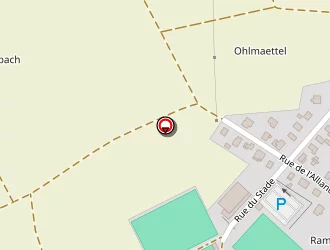 Carte de Bartholomé Gérard à Sessenheim