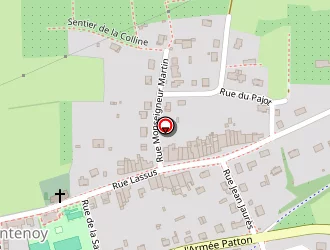 Carte de Brignon Denis à Montenoy