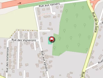 Carte de Levaique Vincent à Galluis