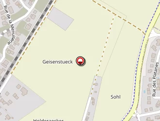 Carte de T.s.m. (téléphonie Services Maintenance) à Sessenheim