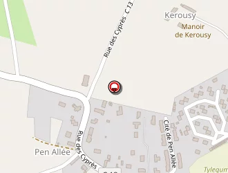 Carte de Coiffure Profil à Plouguiel