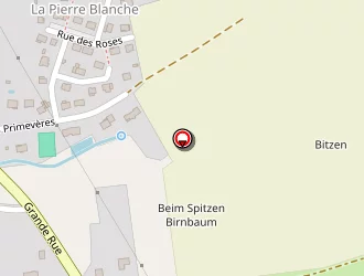 Carte de J.m.g. Service à Bettborn