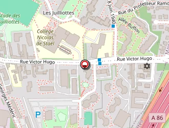 Carte de Transport Marathon à Rungis complexe