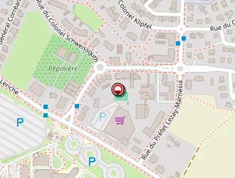 Carte de Hassler Patrick à Haguenau